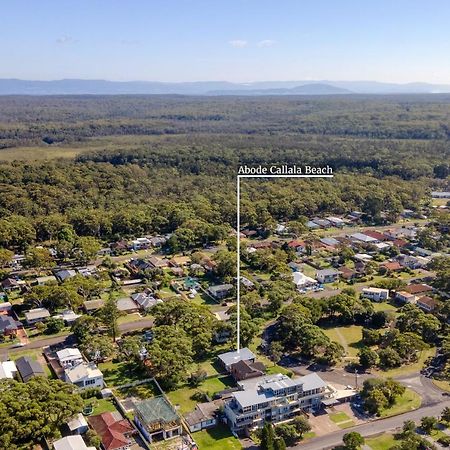 Abode Callala Beach Jervis Bay - 100M To Beach! Екстериор снимка